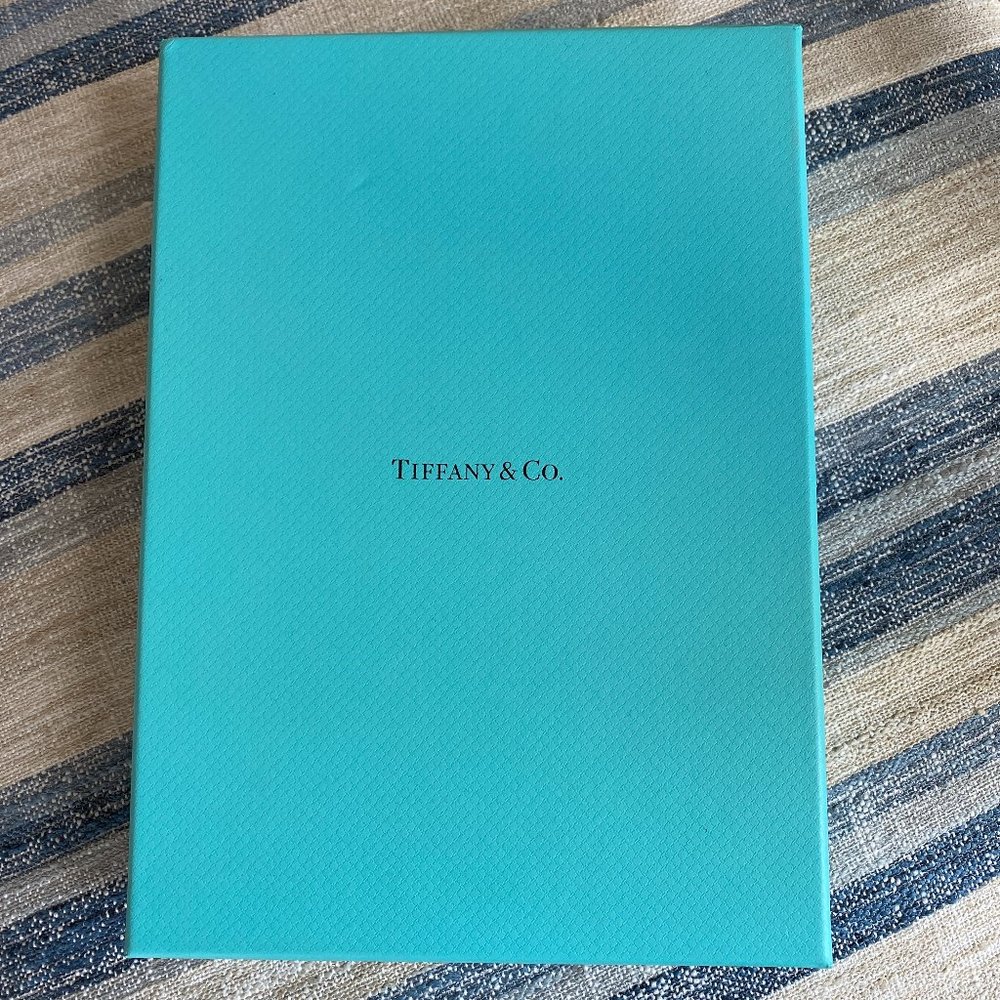 Open to offers! Authentic Tiffany Atlas Statement Necklace NWOT - Picture 5 of 9